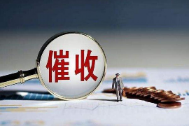 盐源债务清欠服务